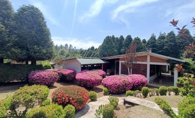 VENTA CASA -CABAÑA, ZONA BOSQUE,5 RECAMARAS, COLINDA C. RIO, HUACHINAGO. PUE.