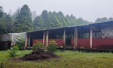 VENTA CASA -CABAÑA, ZONA BOSQUE,5 RECAMARAS, COLINDA C. RIO, HUACHINAGO. PUE.