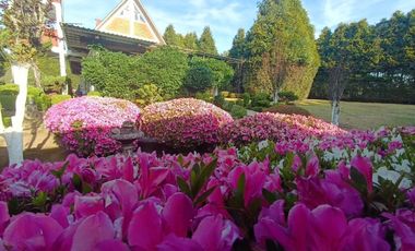 VENTA CASA -CABAÑA, ZONA BOSQUE,5 RECAMARAS, COLINDA C. RIO, HUACHINAGO. PUE.