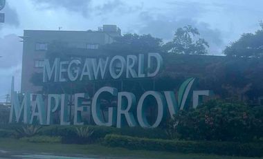 House and Lot near Metro Manila