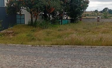 LOTES EN VENTA EN HARAS DEL BOSQUE