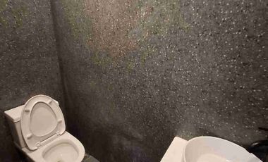 Brand New Elegant House with Dip Pool For Sale in Greenwoods Pasig-Cainta Village