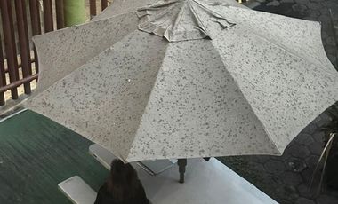 RENTA EXCELENTE EDIFICIO PARA OFICINAS, GYM, BANCO, ETC...EN AV. ACOXPA