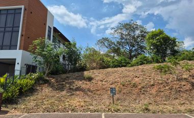 Residential Lot for Sale in Anvaya Cove, Bataan