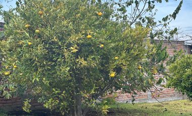 Vendo 3100 m² de Terreno en Pifo, Cerca de Via Principal