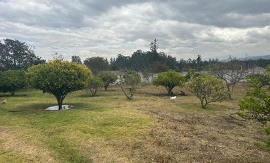 Vendo 3100 m² de Terreno en Pifo, Cerca de Via Principal