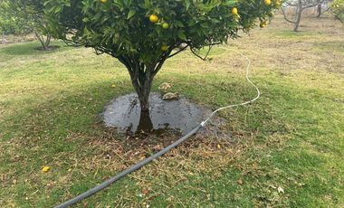 Vendo 3100 m² de Terreno en Pifo, Cerca de Via Principal