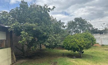 Vendo 3100 m² de Terreno en Pifo, Cerca de Via Principal