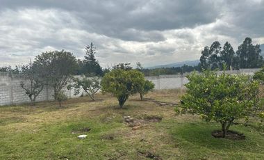 Vendo 3100 m² de Terreno en Pifo, Cerca de Via Principal