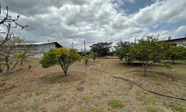 Vendo 3100 m² de Terreno en Pifo, Cerca de Via Principal