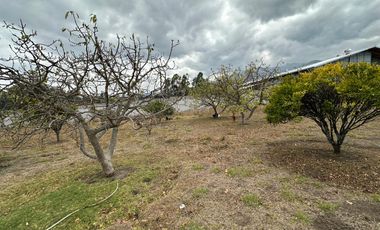 Vendo 3100 m² de Terreno en Pifo, Cerca de Via Principal