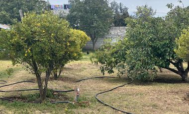 Vendo 3100 m² de Terreno en Pifo, Cerca de Via Principal