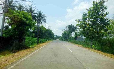 DIJUAL TANAH INDUSTRI PURWOREJO, JAWA TENGAH, LUAS 16 HEKTAR. INDUSTRIAL LAND FOR SALE ( FOR WAREHOUSE/ FACTORY), CENTRAL JAVA