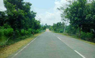 DIJUAL TANAH INDUSTRI PURWOREJO, JAWA TENGAH, LUAS 16 HEKTAR. INDUSTRIAL LAND FOR SALE ( FOR WAREHOUSE/ FACTORY), CENTRAL JAVA