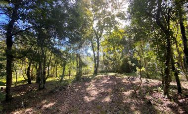 Parcela de 5.000 M2 con Hermosa Casa con 5D y 5B, Sector Metreñehue, Pucón