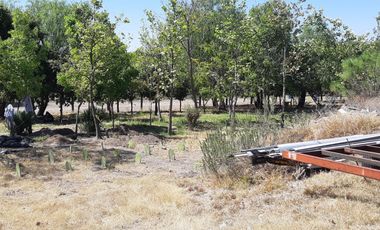 Venta 10,000 m2. sobre el Blvd. Metropolitano, con Escriturra.