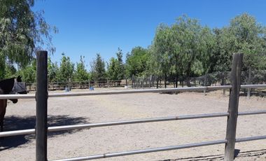 Venta 10,000 m2. sobre el Blvd. Metropolitano, con Escriturra.