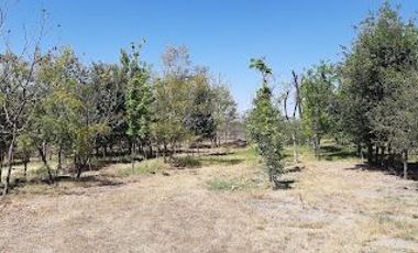 Venta 10,000 m2. sobre el Blvd. Metropolitano, con Escriturra.