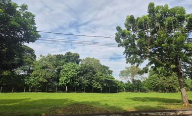 🏌️‍♂️ Fairway Lot For Sale in Most In-Demand Phase | East-Facing | Prime Location Near SLEX Exit