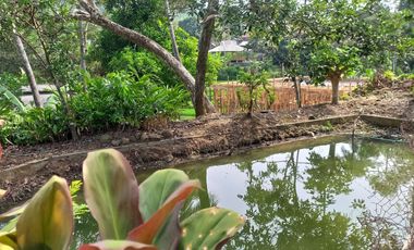 Rumah Bagus 604 m2 Pinggir Jalan di Tanjungkerta Sumedang Dijual Murah