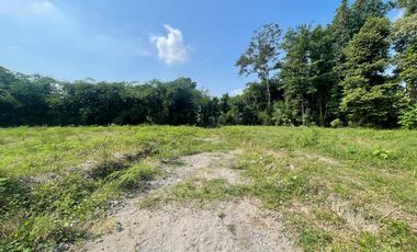 Dekat Dawet Pak Bardi - Tanah SHM Siap Bangun