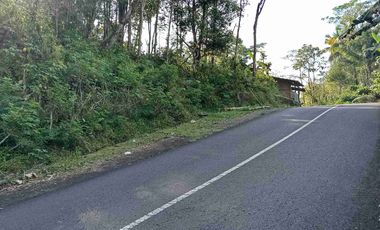 dijual tanah murah,pinggir jalan raya,view istimewa.
