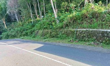 dijual tanah murah,pinggir jalan raya,view istimewa.