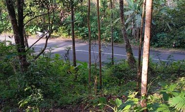 dijual tanah murah,pinggir jalan raya,view istimewa.