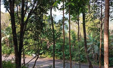 dijual tanah murah,pinggir jalan raya,view istimewa.