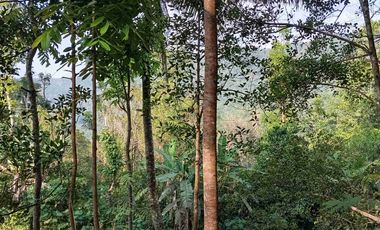 dijual tanah murah,pinggir jalan raya,view istimewa.