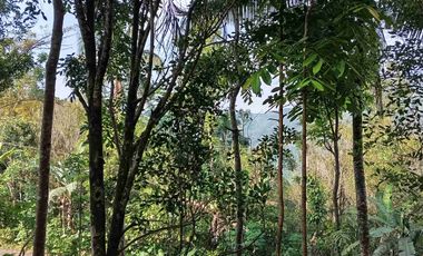 dijual tanah murah,pinggir jalan raya,view istimewa.