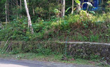 dijual tanah murah,pinggir jalan raya,view istimewa.
