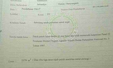 dijual tanah murah,pinggir jalan raya,view istimewa.