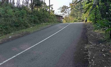 dijual tanah murah,pinggir jalan raya.dekat kopi pari,sungai mudal dll.