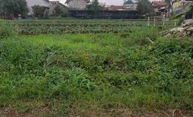 Tanah Ciwaruga Kawasan Bandung Utara