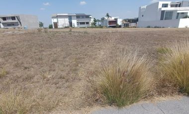 Lote terreno en lomas de angelopolis gran reserva