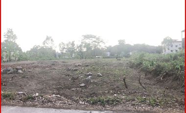 Dekat Islam Al-Azhar Cairo Kost Eksklusive Jogja Nyaman	16 Kamar Tidur