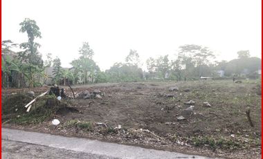 Dekat Islam Al-Azhar Cairo Kost Eksklusive Jogja Nyaman	16 Kamar Tidur