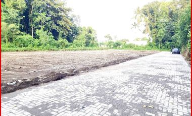 Dekat Islam Al-Azhar Cairo Kost Eksklusive Jogja 18 Kamar Tidur