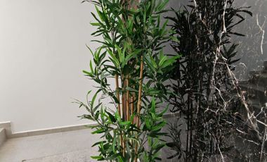 Venta de Casa en Cholula Xixitla