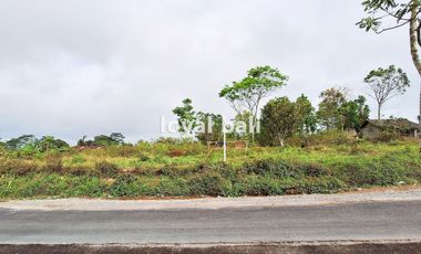 Tanah, 3.700m² Land with Strategic Location in Kintamani, Bali
