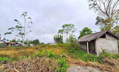 Tanah, 3.700m² Land with Strategic Location in Kintamani, Bali