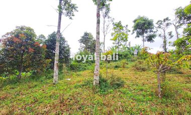 Tanah, 3.700m² Land with Strategic Location in Kintamani, Bali