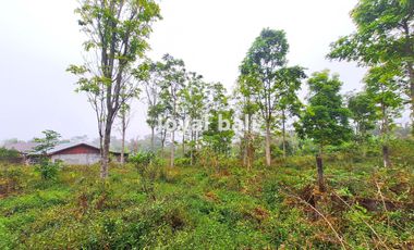 Tanah, 3.700m² Land with Strategic Location in Kintamani, Bali