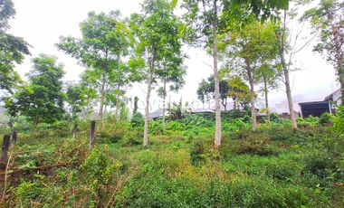 Tanah, 3.700m² Land with Strategic Location in Kintamani, Bali