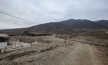 VENTA DE TERRENO INDUSTRIAL EN CARABAYLLO DE 6463 M2