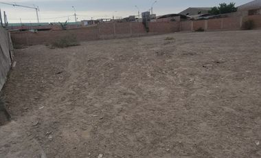 VENTA DE TERRENO EN PUENTE PIEDRA DE 1,750 M2