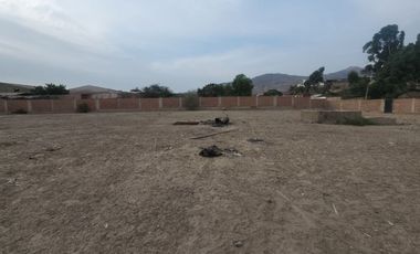 VENTA DE TERRENO EN PUENTE PIEDRA DE 1,750 M2