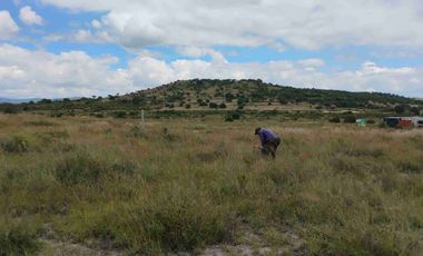 Terrenos/Parcelas ecológicas.