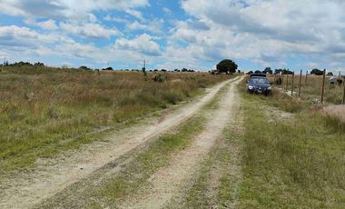 Terrenos/Parcelas ecológicas.